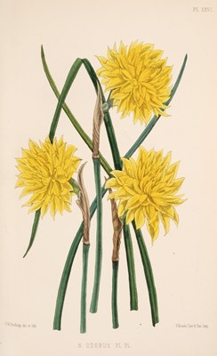Lot 56 - Burbidge (F. W.). The Narcissus: Its History and Culture..., 1st ed., L. Reeve and Co. 1875