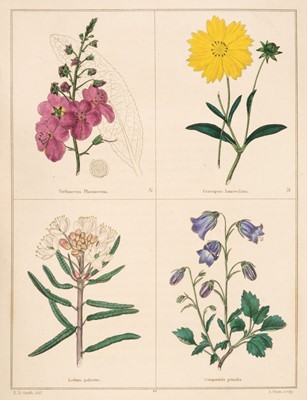 Lot 61 - Maund (Benjamin). The Botanic Garden, 1825-51