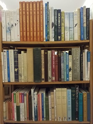 Lot 464 - Ornithology. A large collection of modern ornithology reference & related