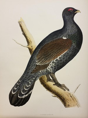Lot 62 - Morris (Beverly Robinson). British Game Birds..., London: Groombridge and Sons, [1889]