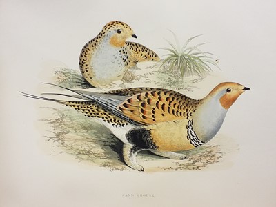 Lot 62 - Morris (Beverly Robinson). British Game Birds..., London: Groombridge and Sons, [1889]