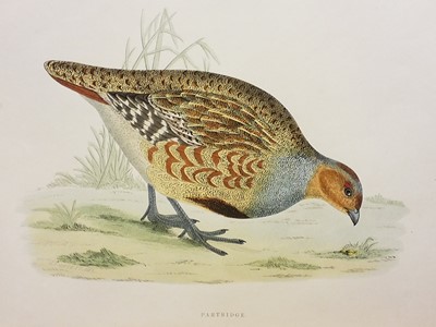 Lot 62 - Morris (Beverly Robinson). British Game Birds..., London: Groombridge and Sons, [1889]