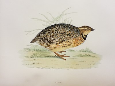 Lot 62 - Morris (Beverly Robinson). British Game Birds..., London: Groombridge and Sons, [1889]