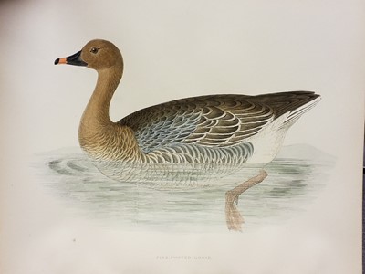 Lot 62 - Morris (Beverly Robinson). British Game Birds..., London: Groombridge and Sons, [1889]