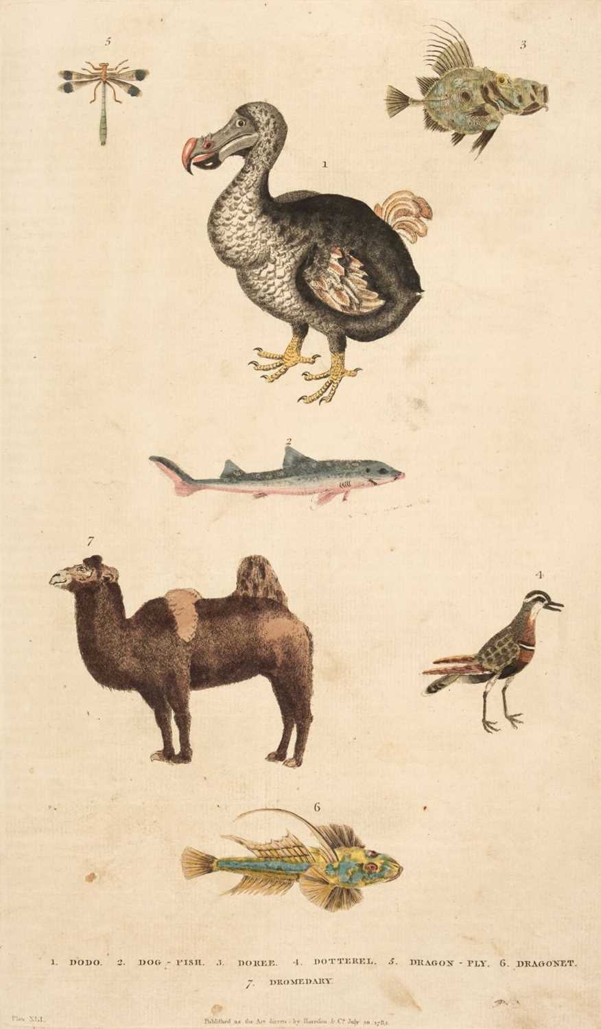 Lot 60 - Martyn (William Frederick). A New Dictionary of Natural History, 2 vols in 1, 1785