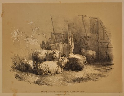 Lot 356 - Cooper (Thomas Sidney). Studies of Cattle, drawn from nature..., Parts 1 & 2, New Edition