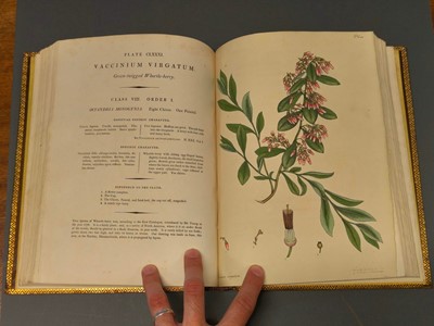 Lot 71 - Andrews (H. C.). The Botanist's Repository, volume 3 (only), 1797
