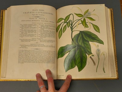 Lot 71 - Andrews (H. C.). The Botanist's Repository, volume 3 (only), 1797