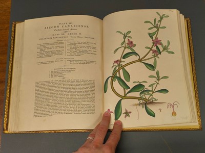 Lot 71 - Andrews (H. C.). The Botanist's Repository, volume 3 (only), 1797
