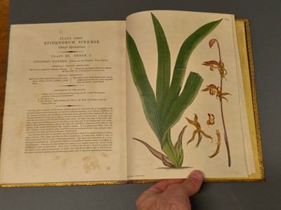 Lot 71 - Andrews (H. C.). The Botanist's Repository, volume 3 (only), 1797