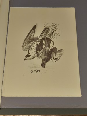 Lot 98 - Tunnicliffe (Charles Frederick) Hawks and Falcons, Circle Press, 1975