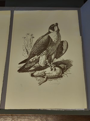 Lot 98 - Tunnicliffe (Charles Frederick) Hawks and Falcons, Circle Press, 1975