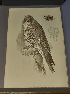 Lot 98 - Tunnicliffe (Charles Frederick) Hawks and Falcons, Circle Press, 1975