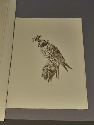 Lot 98 - Tunnicliffe (Charles Frederick) Hawks and Falcons, Circle Press, 1975