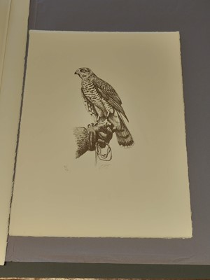 Lot 98 - Tunnicliffe (Charles Frederick) Hawks and Falcons, Circle Press, 1975