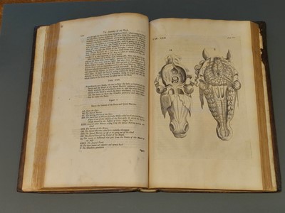 Lot 96 - Snape (Andrew). The Anatomy of an Horse, 1st edition, London