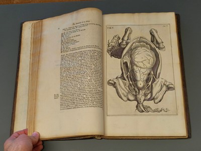 Lot 96 - Snape (Andrew). The Anatomy of an Horse, 1st edition, London