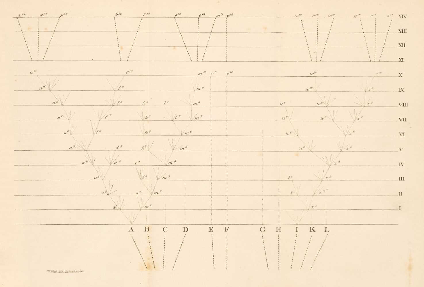 Lot 80 - Darwin (Charles). On the Origin of Species by Means of Natural Selection