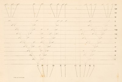 Lot 83 - Darwin (Charles). On the Origin of Species by Means of Natural Selection