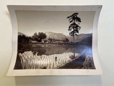 Lot 4 - China. Chinese Rice Field, unidentified photographer, c. 1870