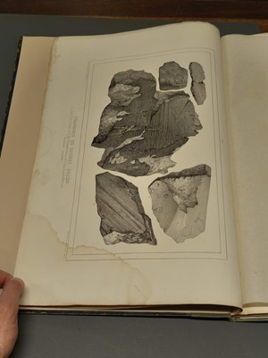 Lot 2 - Agassiz (Louis). Etudes sur les Glaciers, 2 volumes, 1840