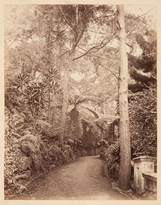 Lot 24 - Hong Kong. Seven albumen print photographs, c. 1870