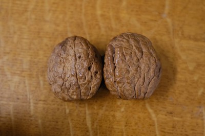 Lot 454 - Sewing. A miniature walnut sewing etui, 19th century