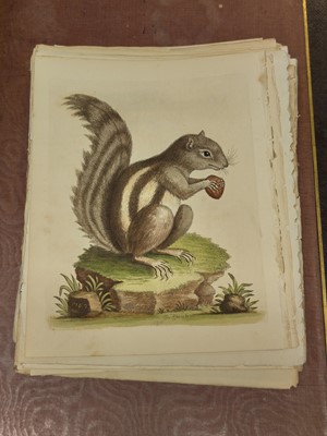 Lot 189 - Edwards (George). A collection of approximately 120 prints, circa 1760