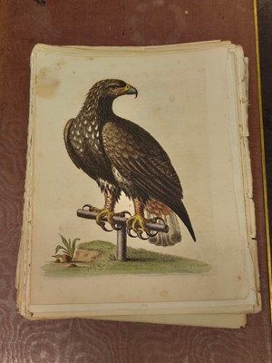 Lot 189 - Edwards (George). A collection of approximately 120 prints, circa 1760