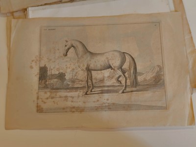 Lot 190 - Equestrianism. A collection of approximately 150 prints & engravings, 18th & 19th century