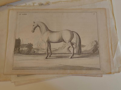 Lot 190 - Equestrianism. A collection of approximately 150 prints & engravings, 18th & 19th century