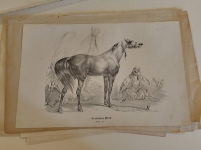 Lot 190 - Equestrianism. A collection of approximately 150 prints & engravings, 18th & 19th century