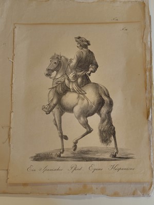 Lot 190 - Equestrianism. A collection of approximately 150 prints & engravings, 18th & 19th century