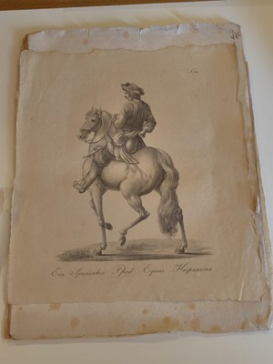 Lot 190 - Equestrianism. A collection of approximately 150 prints & engravings, 18th & 19th century