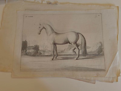 Lot 190 - Equestrianism. A collection of approximately 150 prints & engravings, 18th & 19th century