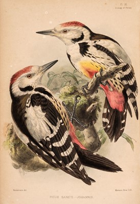 Lot 20 - Goldsmid (John Frederic & others). Eastern Persia, 2 volumes, 1st edition, 1876