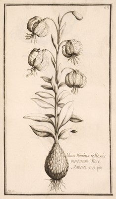 Lot 58 - Garidel (Pierre Joseph). Histoire des Plantes qui naissent en Provence..., 1719
