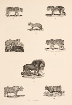 Lot 57 - Bewick (Thomas & John). Bewick's Woodcuts, by Thomas Hugo, 1870