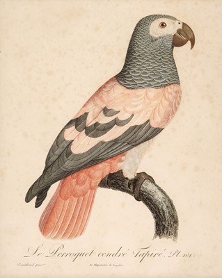 Lot 168 - Barraband (Jacques, 1768-1809). L'ara mara cana mâle. Pl. 8..., circa 1805..., and others