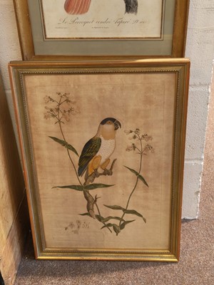 Lot 168 - Barraband (Jacques, 1768-1809). L'ara mara cana mâle. Pl. 8..., circa 1805..., and others
