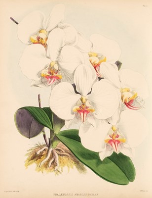 Lot 70 - Warner (Robert). The Orchid Album, 11 vols., 1882-1897