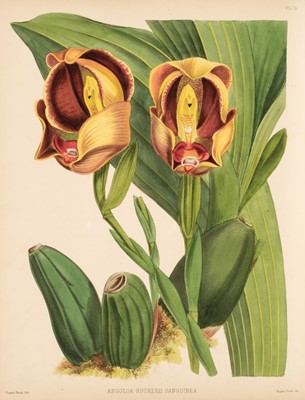 Lot 70 - Warner (Robert). The Orchid Album, 11 vols., 1882-1897