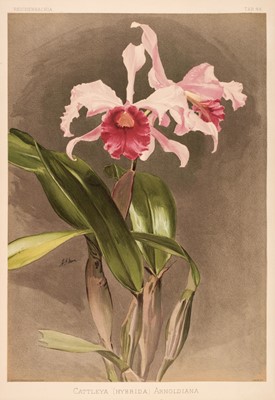 Lot 69 - Sander (Frederick). Reichenbachia. Orchids Illustrated and Described, 4 vols., 1888-1894