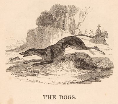 Lot 359 - Harris (John, Publisher). The Remarkable Adventures of an Old Woman and her Pig, c. 1827