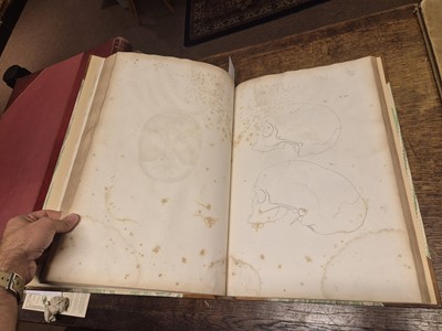 Lot 383 - Gall (Franz Joseph & Spurzheim, Johann Gaspar). Anatomie et Physiologie... , 1810-19