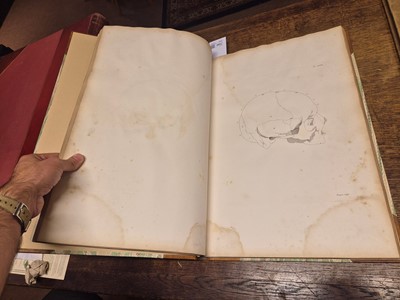 Lot 383 - Gall (Franz Joseph & Spurzheim, Johann Gaspar). Anatomie et Physiologie... , 1810-19