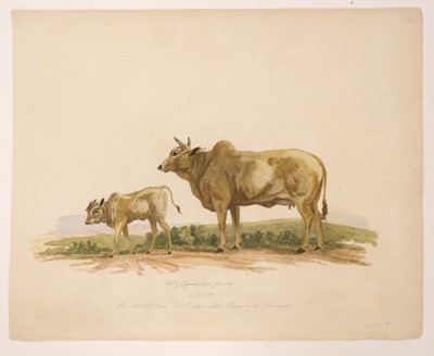 Lot 210 - Cattle. Landseer (Thomas),  Portrait of the Celebrated Short Horned Cow Bracelet..., circa 1843