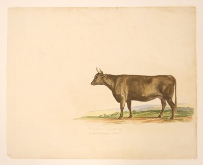 Lot 210 - Cattle. Landseer (Thomas),  Portrait of the Celebrated Short Horned Cow Bracelet..., circa 1843