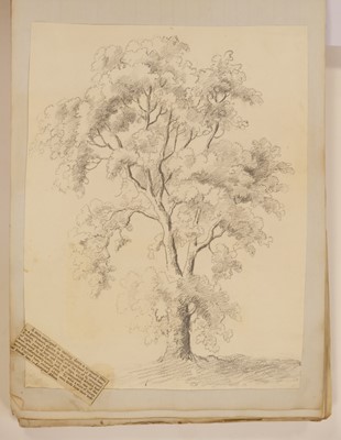 Lot 238 - Scrap Album. An early 19th-century album