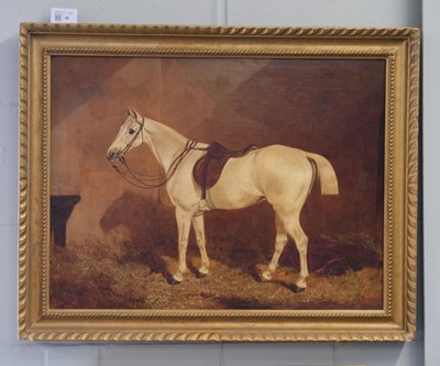 Lot 68 - Manner of John Frederick Herring (1795-1865). Portrait of a Grey Horse, oil on canvas